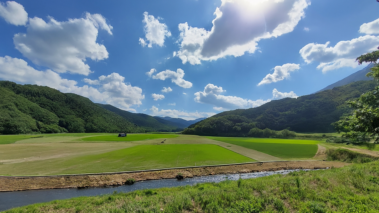 レビュー結果（https://kids.gakken.co.jp/jiten/dictionary01400352/）をレビューしました