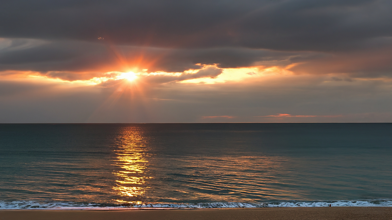 同期と非（https://www.synchronous.jp/articles/-/3104）をレビューしました